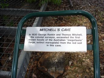 341_mitchell_s_cave_dsc07876.jpg