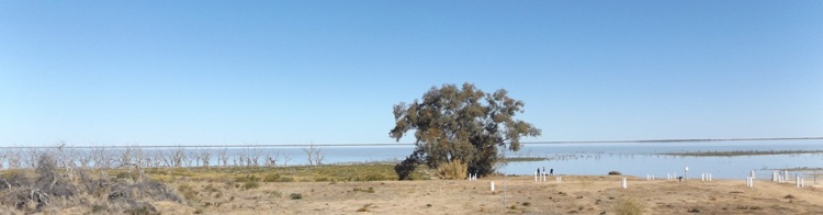 750_banner_drying_lake_menindee_2017_dscf3466.jpg