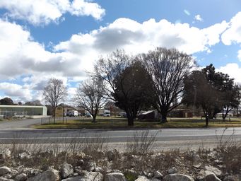 341_molong_cp_dscf5842.jpg