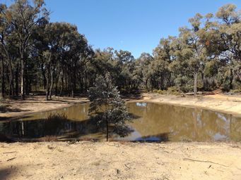 341_salt_caves_dam_dscf4601.jpg