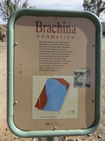 455_brachina_formation_img_3955.jpg