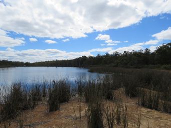 341_greenbushes_shwenkes_dam_img_6531.jpg