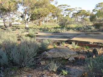 341_merredin_peak_military_hospital_site_img_9309.jpg