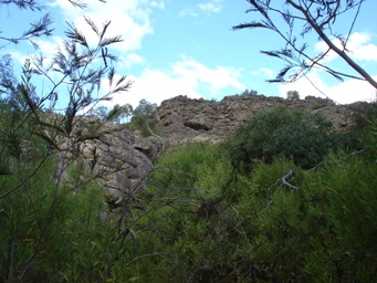 341_grampians_dsc03553.jpg